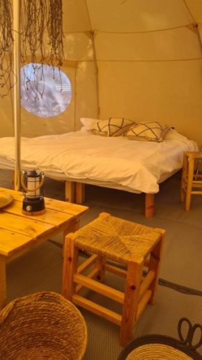 TLV camping